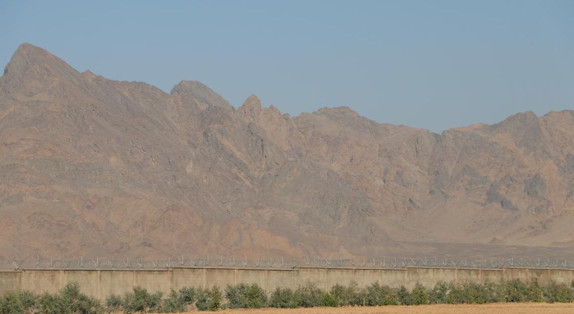 دیوار فارم زراعتی